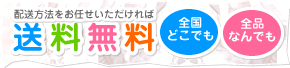 ���������i�z�����@�����C������������ΑS�i���ł��S�����������B�X�^�C1���ł��I�j